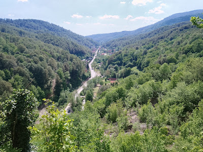 Belvedere Moneasa