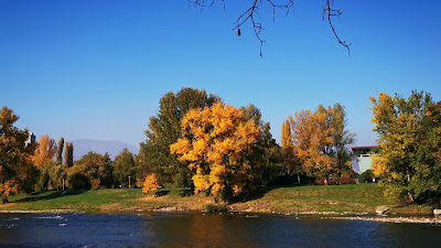 Kamberovića polje — fotografia 2