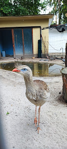 Vogelpark Viernheim — fotografia 5