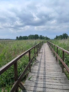 Narew National Park — fotografia 4