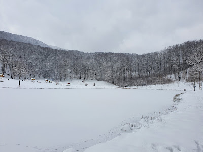 Lacul Nistru — fotografia 4