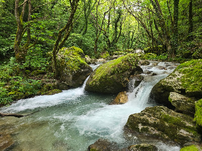 Kouiassa — fotografia 5