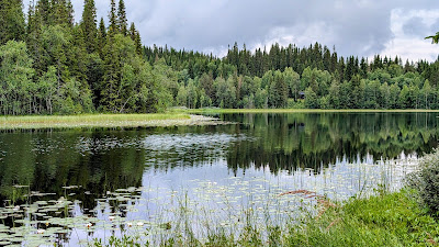 Koltjønna rasteplass