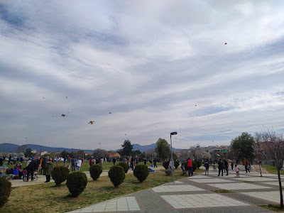 Elaiorema — fotografia 5