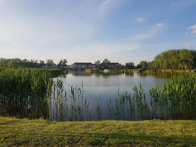 Bujtosi horgásztó — fotografia 3