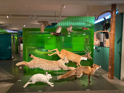 Norwegian Forestry Museum — fotografia 3