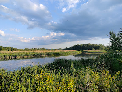 Nature Reserve: Lisia Góra — fotografia 4