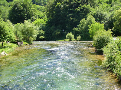 Pliva