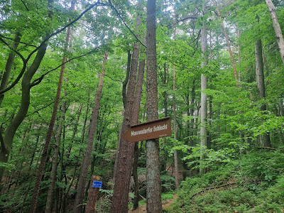 Massendorfer Schlucht — fotografia 4