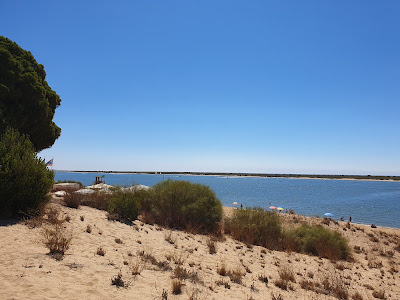 Playa de San Miguel — fotografia 5