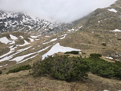 Stožina