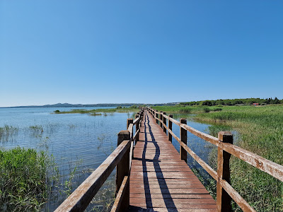 Nature Park Vrana Lake - ornithological reserve — fotografia 3