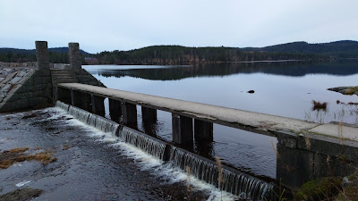 Ørfiske