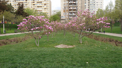 Parcul Morarilor — fotografia 3