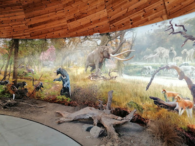 Paleonthologic museum — fotografia 4