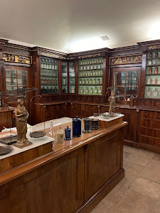 Semmelweis Museum — fotografia 5