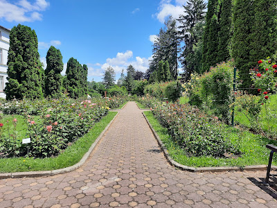 Turnul de Apă al Grădinii Botanice — fotografia 5