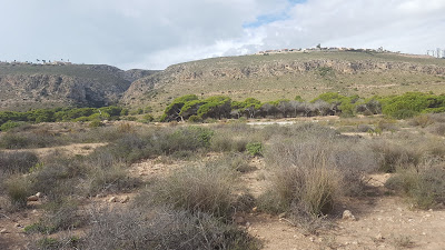 Cala del Faro de Santa Pola — fotografia 3