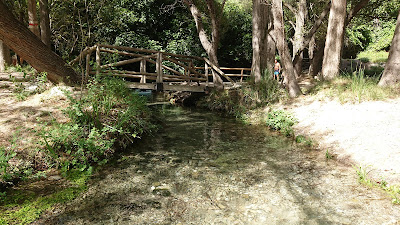 Bosque Encantado de Las Higueras