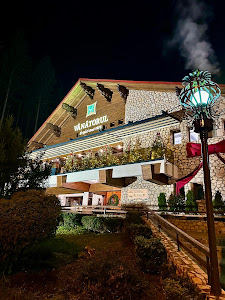 Restaurant Vânătorul — fotografia 5