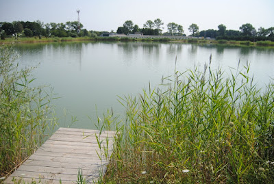 Łowisko "Gierłatówko"