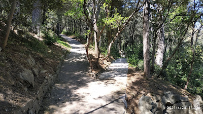 Park-šuma Komrčar — fotografia 5