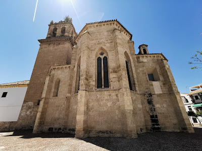 Royal Church of Santa Marina de Aguas Santas — fotografia 5