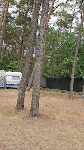 Camping nr 48 "Przymorze" — fotografia 3