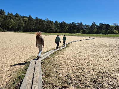 Zandspeelplaats boswachterij Grolloo — fotografia 4