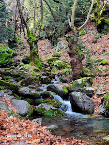 Manganiari Spring