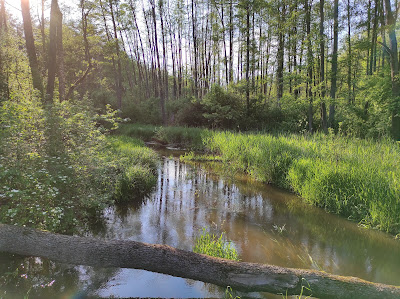 Nature trail "Bobrówka"