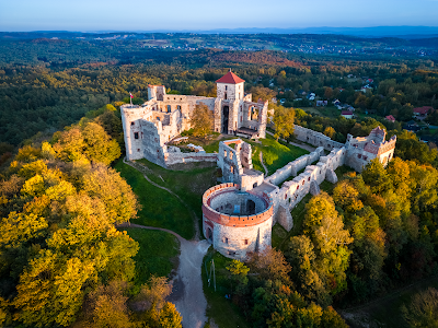 Castelul Tenczyn — fotografia 3
