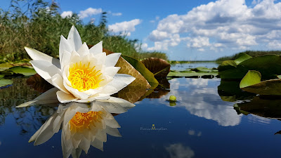 Danube Delta Tours-FlorianMagellan-Excursii Delta Dunarii-Sulina-AlternativTourism