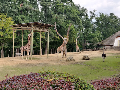 Zoo Zlín - Season ticket office — fotografia 5