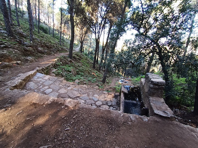 Sendero Fuente Del Acebuche — fotografia 4