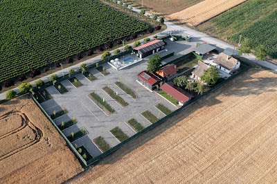 Camping Palić