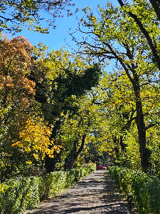 Parcul Casa Albă — fotografia 3