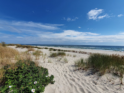 Plaża
