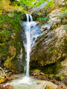 Riserva Naturale La Camosciara — fotografia 3