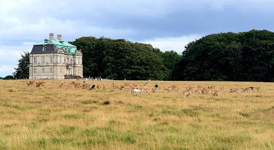 Jægersborg Dyrehave — fotografia 3