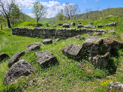 Cetatea Dacică Costești — fotografia 3