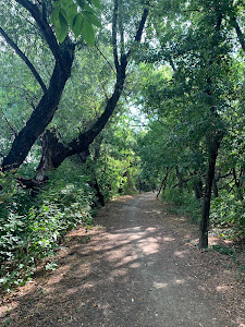 Rotary Nature Trail — fotografia 3