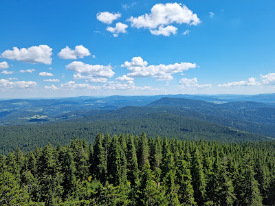 Boubínský prales — fotografia 5