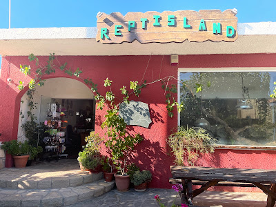Reptisland — fotografia 3