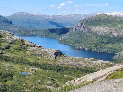 Parcul Național Hardangervidda — fotografia 3