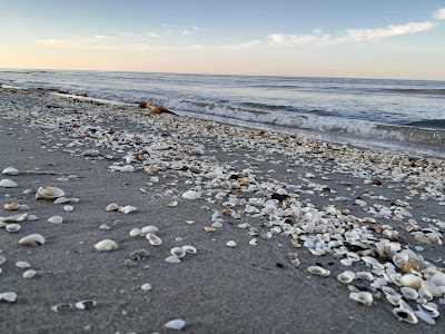 Lyngså Strand — fotografia 4