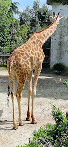 Zoo of Pistoia — fotografia 5