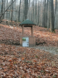 Protipožiarna monitorovacia veža IBOvka — fotografia 5