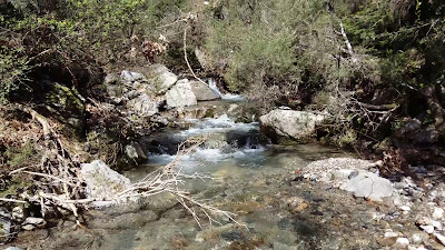 Μονοπάτια Σ 2 & Σ 3 — fotografia 2