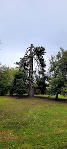 Ogród Dendrologiczny w Glinnej im. prof. Jerzego Tumiłowicza — fotografia 5